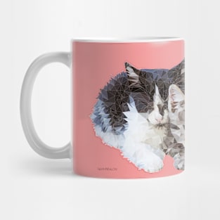 Sleeping Kittens Mug